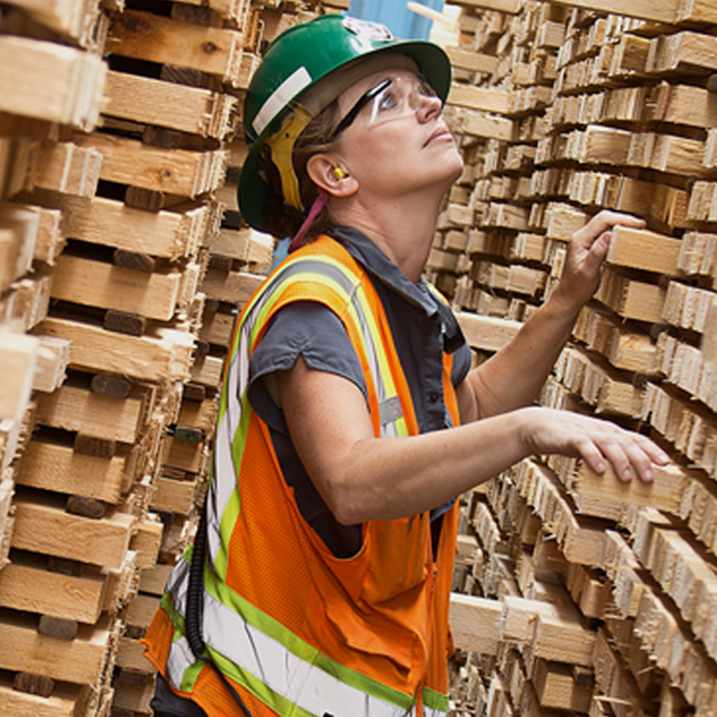 hampton_lumber_product_dimentional_lumber_sq Hampton Lumber