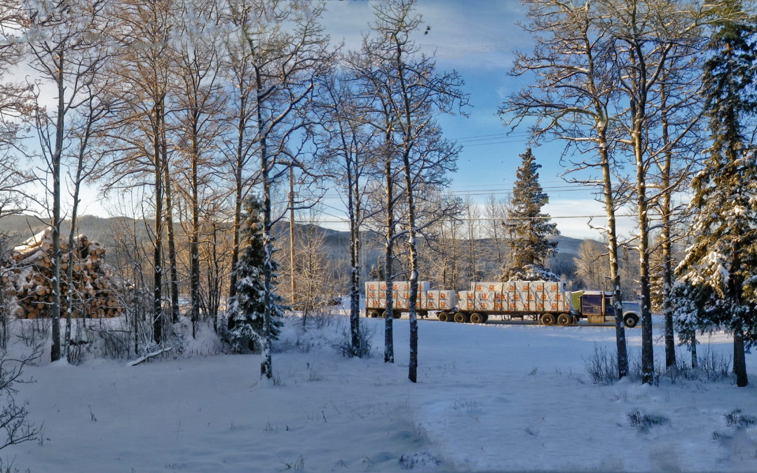 Hamptom Lumber - Canada, Babine