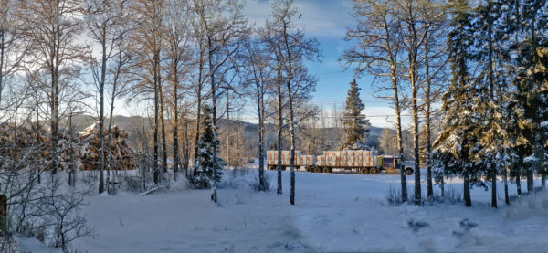 Hamptom Lumber - Canada, Babine