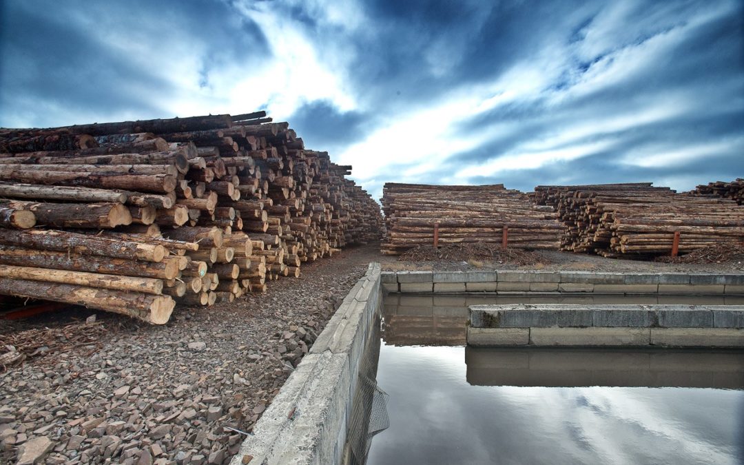 Hampton Lumber - Tillamook Log Yard Pond