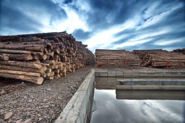 Hampton Lumber - Tillamook Log Yard Pond