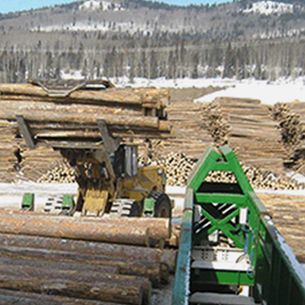 Hampton Lumber Babine Mill