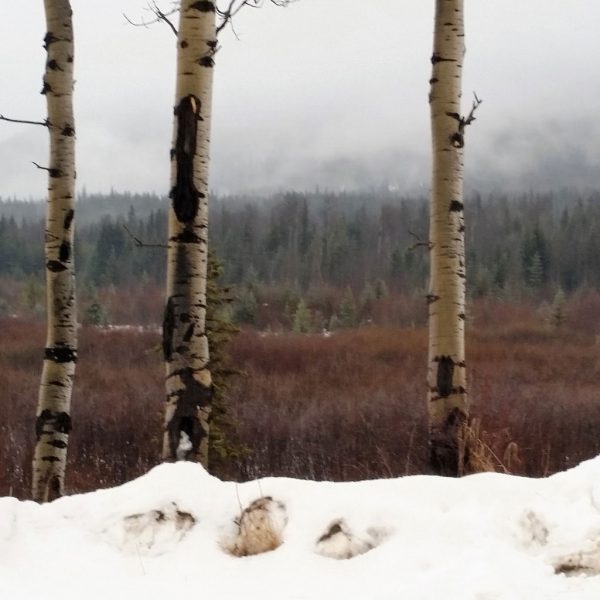 pic of Burns Lake