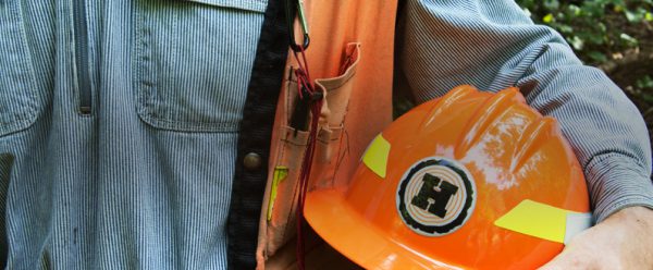 Hampton Lumber Careers