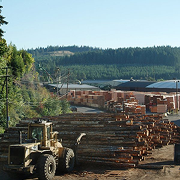 Hampton Lumber Decker Lake Mill