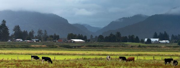 Hampton Lumber - Tillamook, Oregon