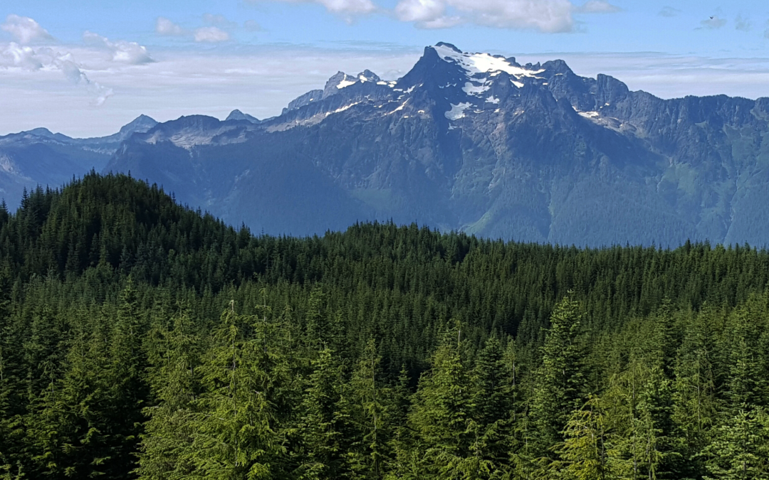 RELEASE: Hampton Acquires 145,000 Acres of Timberland in N.W. Washington