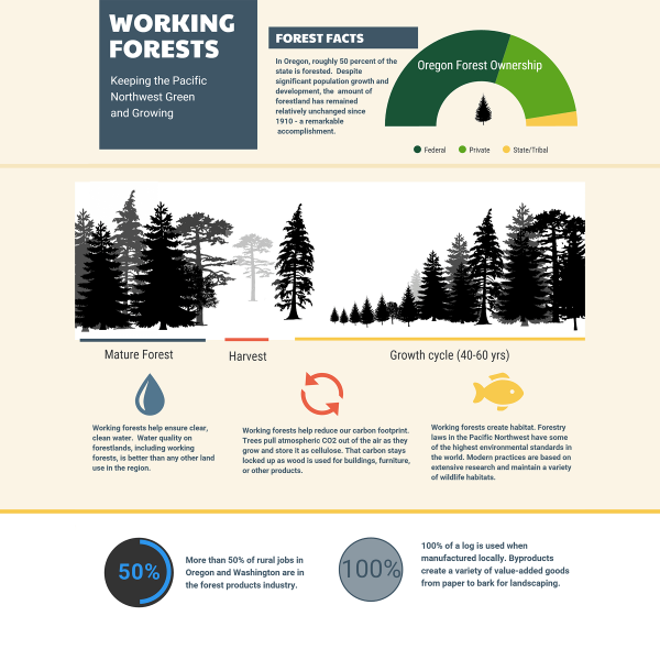 Hampton Lumber Infographic - Working Forests