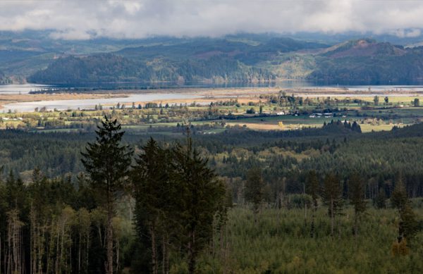 hampton_lumber_valley_header