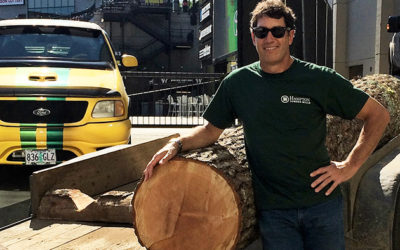 RELEASE: Hampton Lumber Becomes Official Sponsor of the Portland Timbers