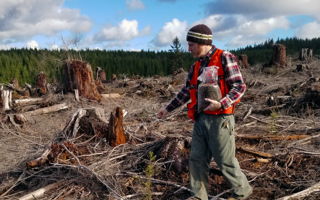 Western Innovator: Creating pollinator habitats in forests