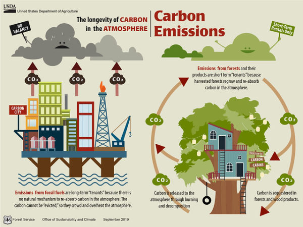 The Wood Product and Carbon Connection