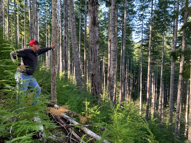 Dave Inspecting Forest