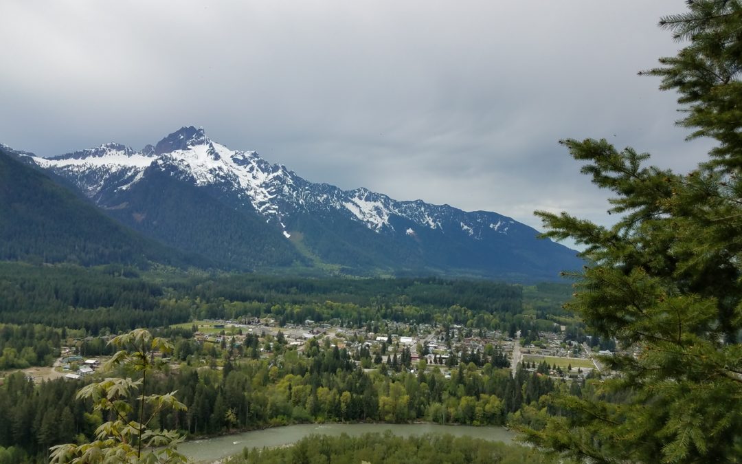 More set-asides for the marbled murrelet in Washington: Impacts to communities and forest sector businesses