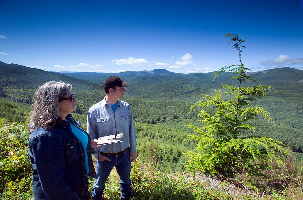 Hampton Lumber Marks 80 Years in Business by Investing in the Future