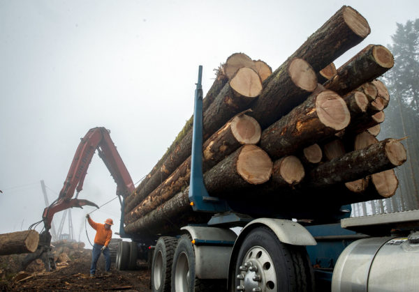 The Oregon Timber Worker’s Truth
