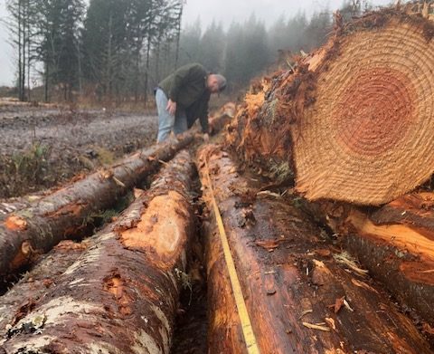 Christian inspecting lumber