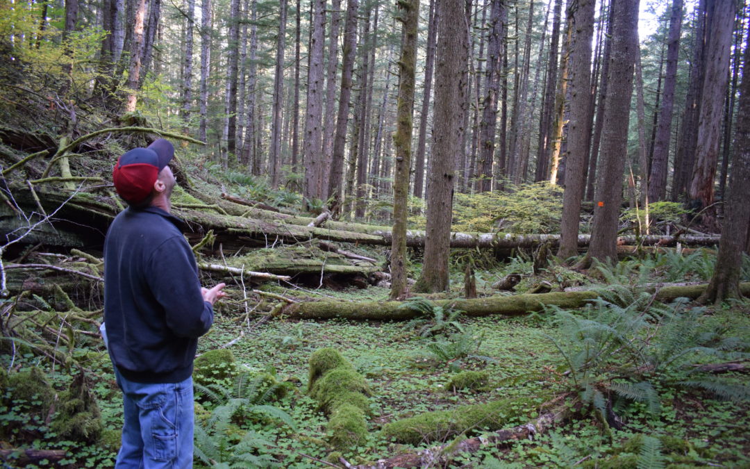 Oregon’s North Coast forest sector is in jeopardy