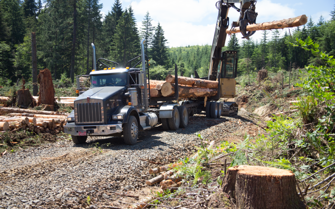 Guest Column: The true value of the state’s timber harvests