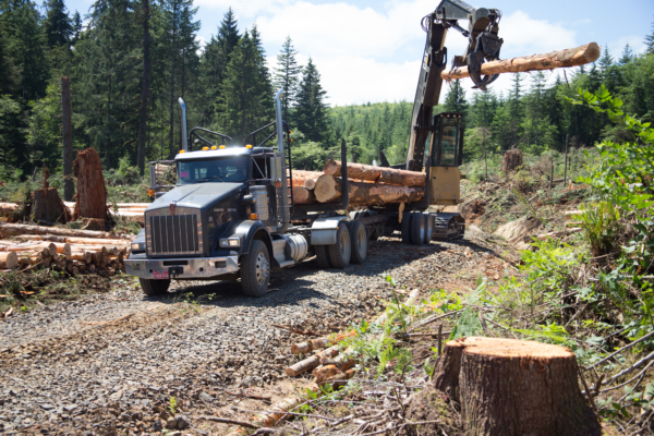 OSU researcher helps UN develop sustainable forest products recommendations