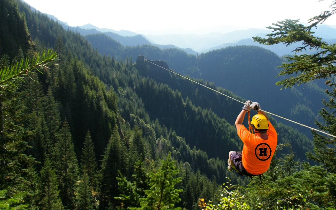 RELEASE: Hampton installs miles of zipline to help foresters move about timberlands.