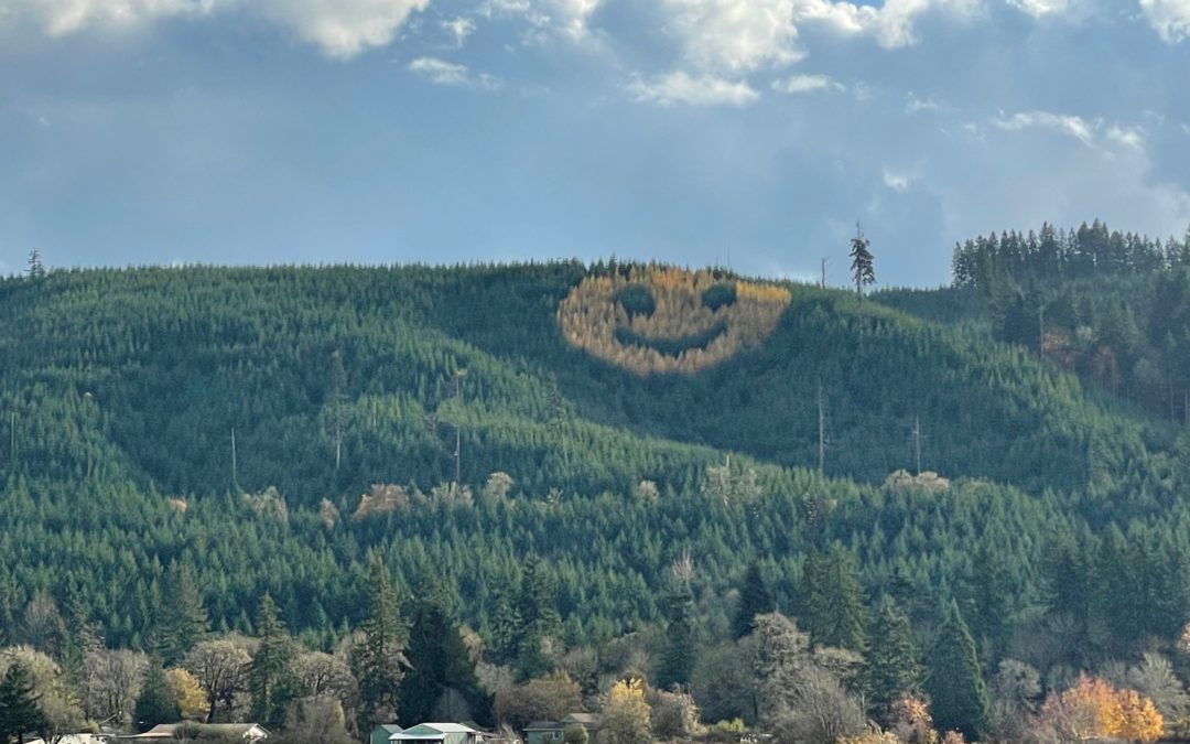 Lumber Company Grows Trees That Smile With Massive Grin for Oregon Drivers