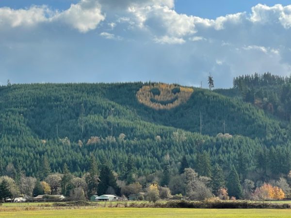 Lumber Company Grows Trees That Smile With Massive Grin for Oregon Drivers