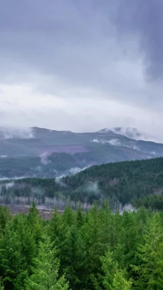 🌍🌲 Every day is Earth Day when you’re planting trees for tomorrow.
At Hampton, we’re proud to manage sustainable working forests with the future in mind—protecting ecosystems, supporting communities, and growing strong forests for generations to come. 🌱💚
.
.
.
#EarthDayEveryDay #SustainableForestry #FutureForests #HamptonLumber #TreePlanting #ForestryLife #GreenFuture #EarthDay2025 #PNW